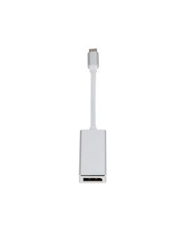 Cabo Adaptador Tipo-C para Displayport – Prateado – Goeik