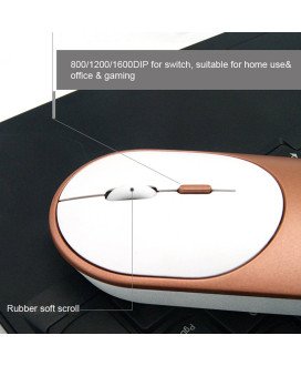 Rato Recarregável sem fio: Bluetooth 5.0 + 2.4 GHz com Pen USB – Silencioso - Oval Preto